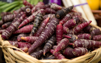 The Remarkable Purple Carrot: A Marketing Parable